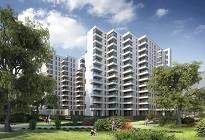 Zdjęcie inwestycji Wolne Miasto 809