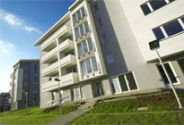 Zdjęcie inwestycji Wolne Miasto 3426